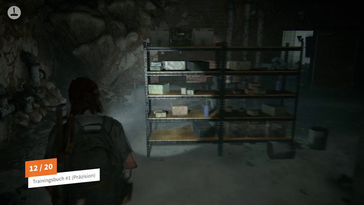 The Last of Us 2 | Alle Sammelobjekte - Mission: Hillcrest