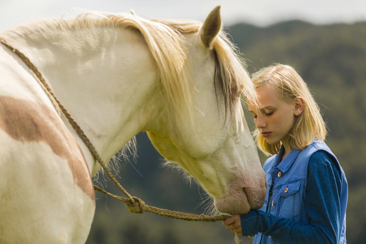 Wendy - Der Film - Teaser