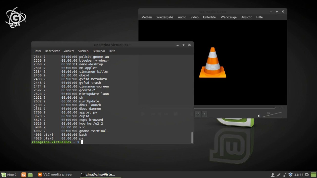 Linux Mint: Prozesse anzeigen, beenden und killen (Tutorial)