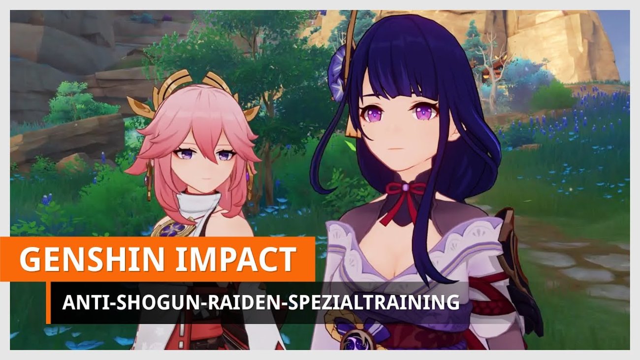 Genshin Impact | Anti-Shougun-Raiden-Spezialtraining bestehen