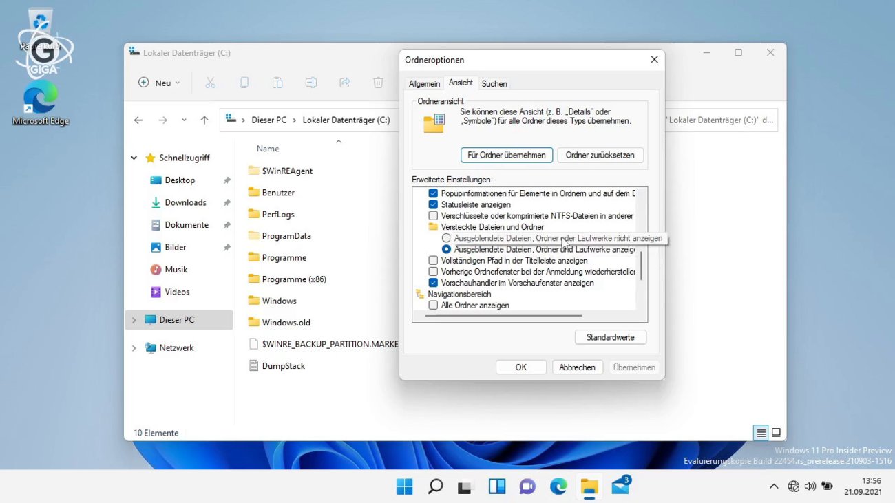 Versteckte Dateien und Ordner anzeigen (Alle Windows-Versionen)