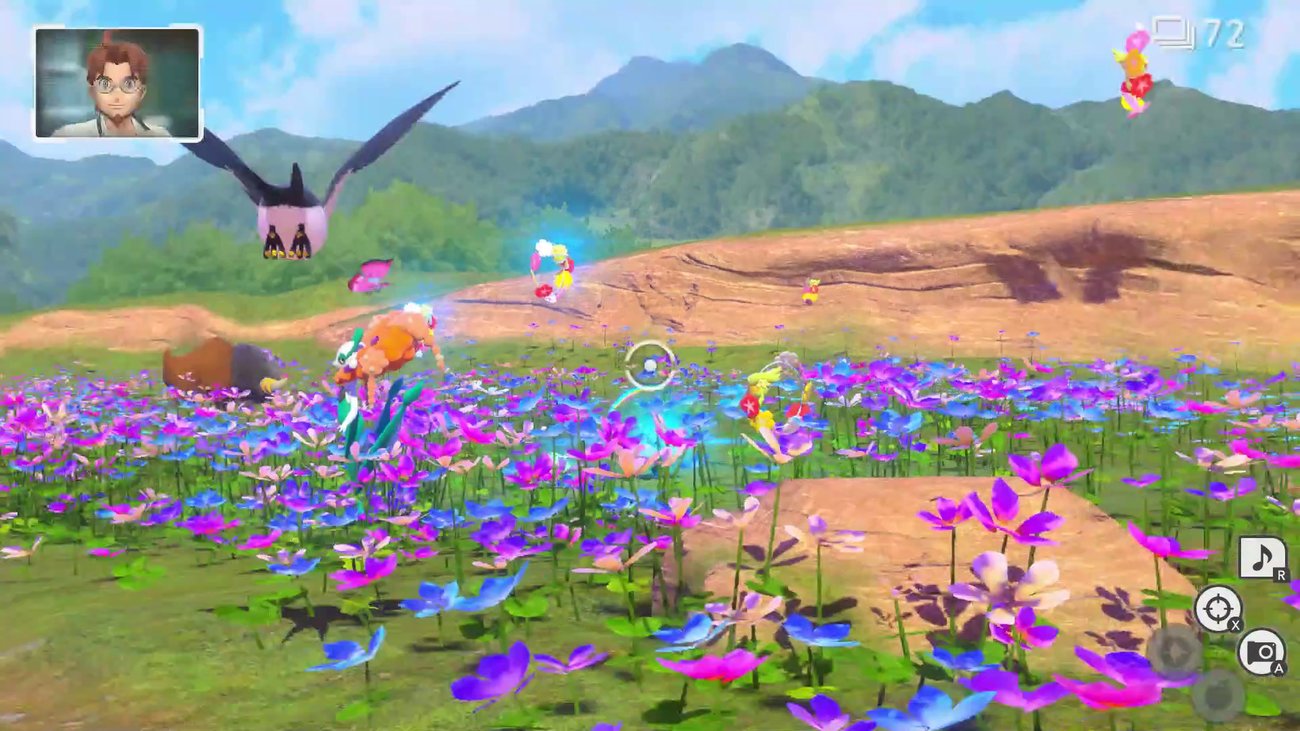 New Pokémon Snap | Auftrag: Pflege der Blumenwiese