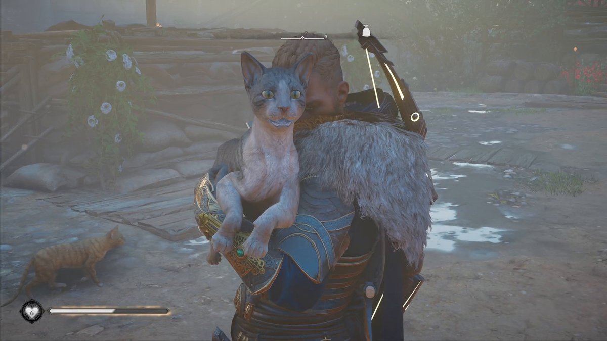 Assassin's Creed Valhalla: Alle 4 Katzen in Ebrocas (Trophäe "Katzen streicheln") Assassin's Creed Valhalla: Alle 4 Katzen in Ebrocas (Trophäe "Katzen streicheln")