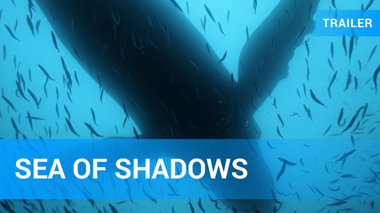 Sea of Shadows - Trailer OmU