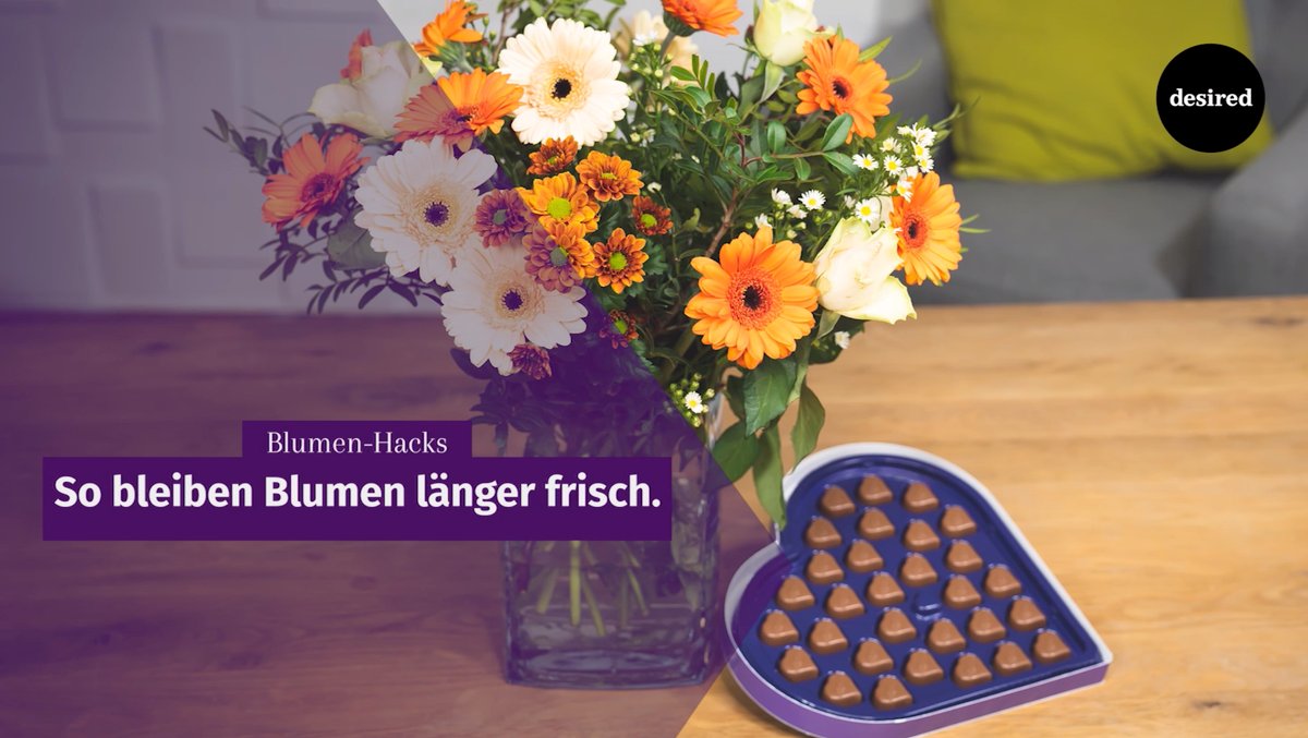 So bleiben Blumen länger frisch So bleiben Blumen länger frisch