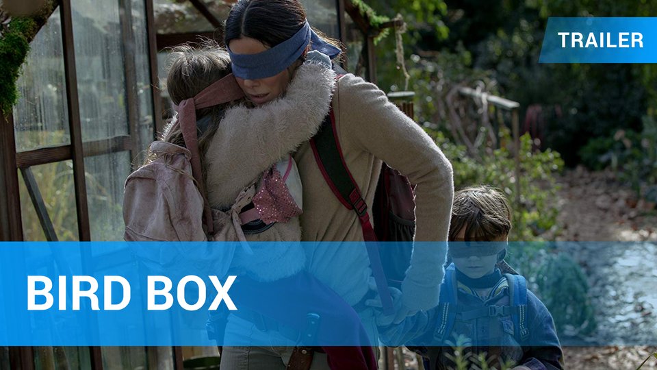 Stream bird box online movie