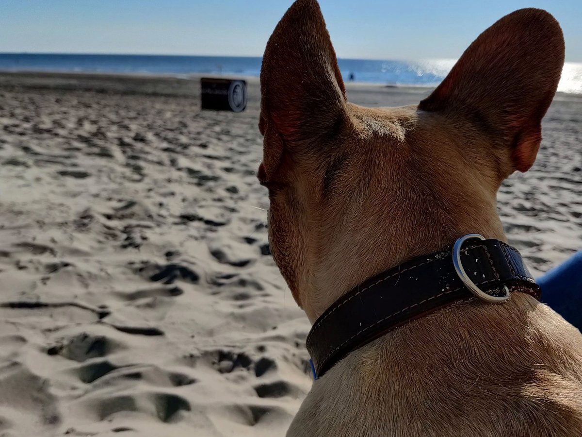 Ein Foto mit Filmeffekt - animiert in Google Fotos Ein Foto mit Filmeffekt - animiert in Google Fotos