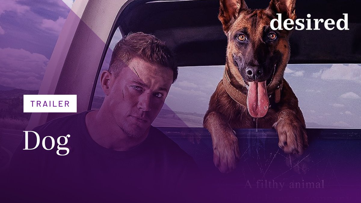 Dog - Das Glück hat vier Pfoten | Offizieller Trailer