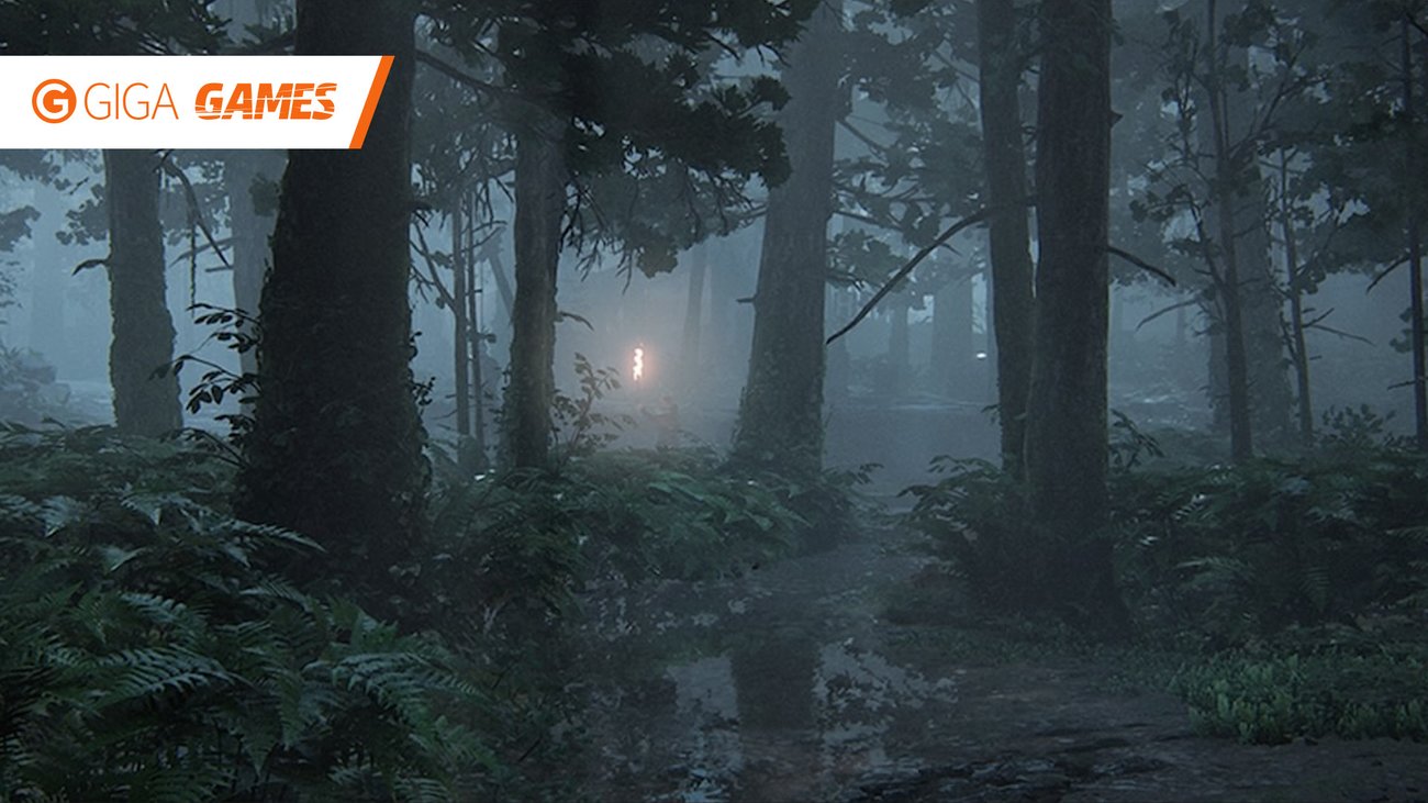 The Last of Us 2: Alle Sammelobjekte in "Die Seraphiten"