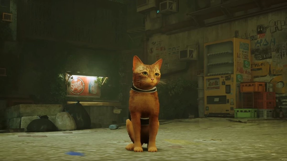 Stray: Trailer zum knuddeligen Katzen-Abenteuer Stray: Trailer zum knuddeligen Katzen-Abenteuer