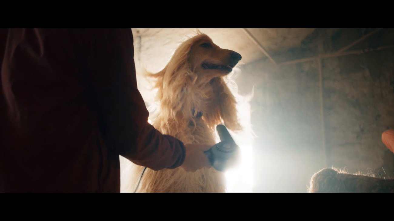 Lassie - Ein neues Abenteuer | Trailer deutsch