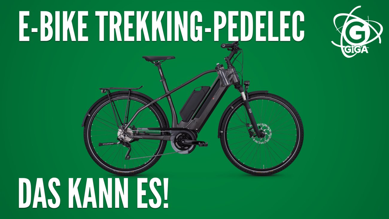 E-Bike bei Aldi: Funktionen des Trekking-Pedelecs von Prophete