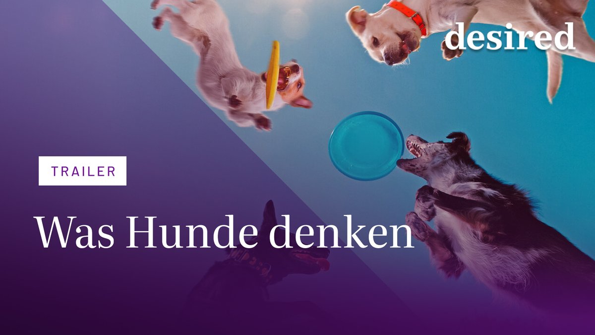 Was Hunde denken | Offizieller Trailer Was Hunde denken | Offizieller Trailer