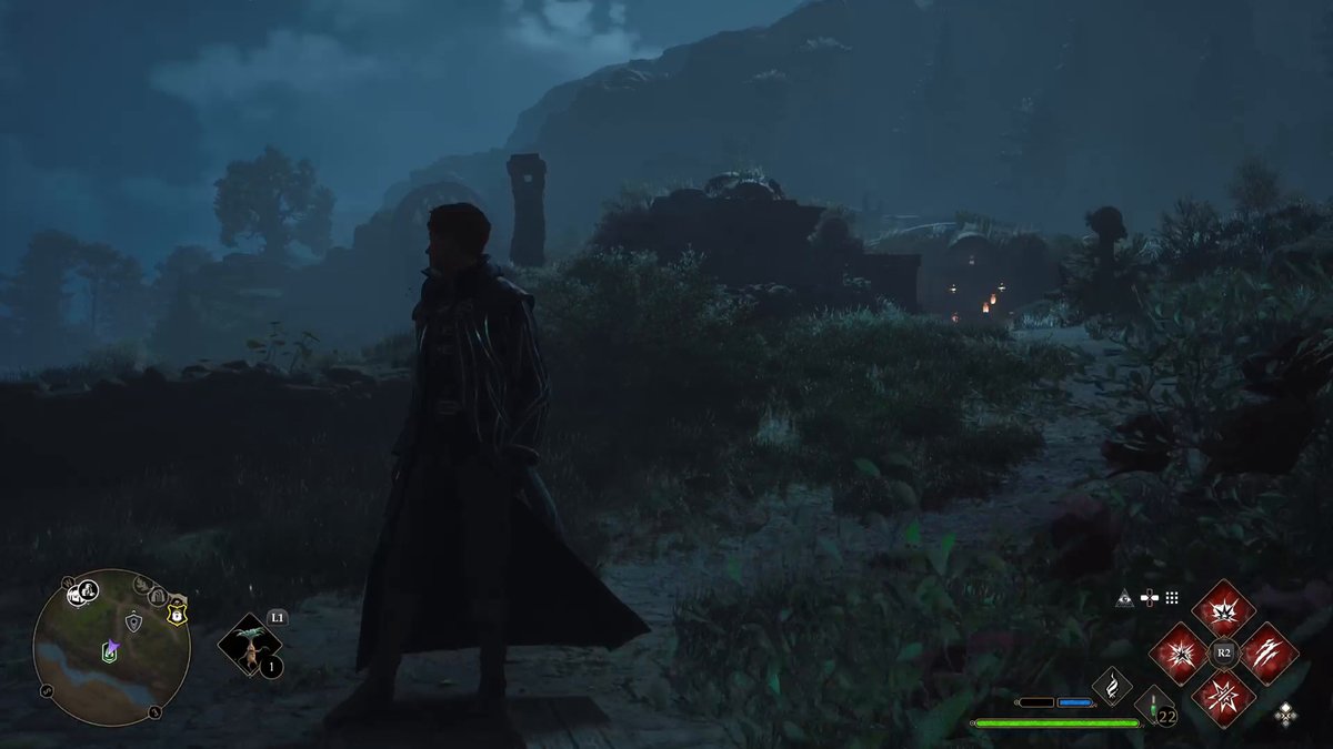 Hogwarts Legacy: Demiguise Statue #10