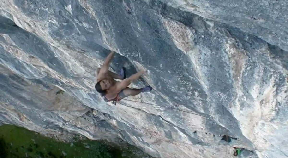 000446311.mp4 000446311.mp4