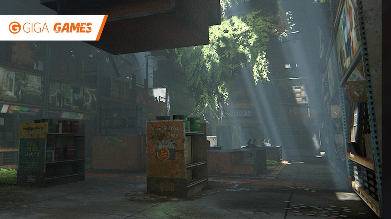 The Last of Us 2: Alle Sammelobjekte in "Zu Fuß"