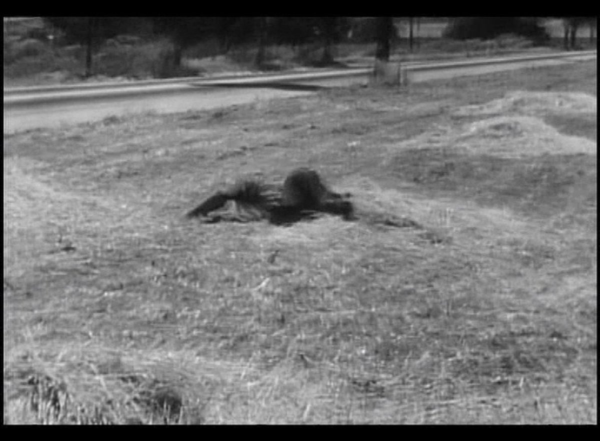 000479904.mp4 000479904.mp4