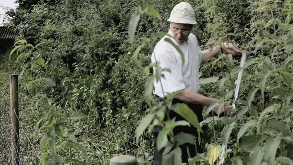 000685773.mp4 000685773.mp4