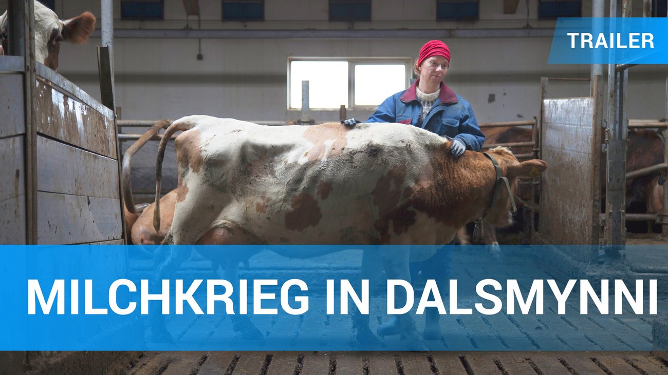 Milchkrieg in Dalsmynni - Trailer Deutsch