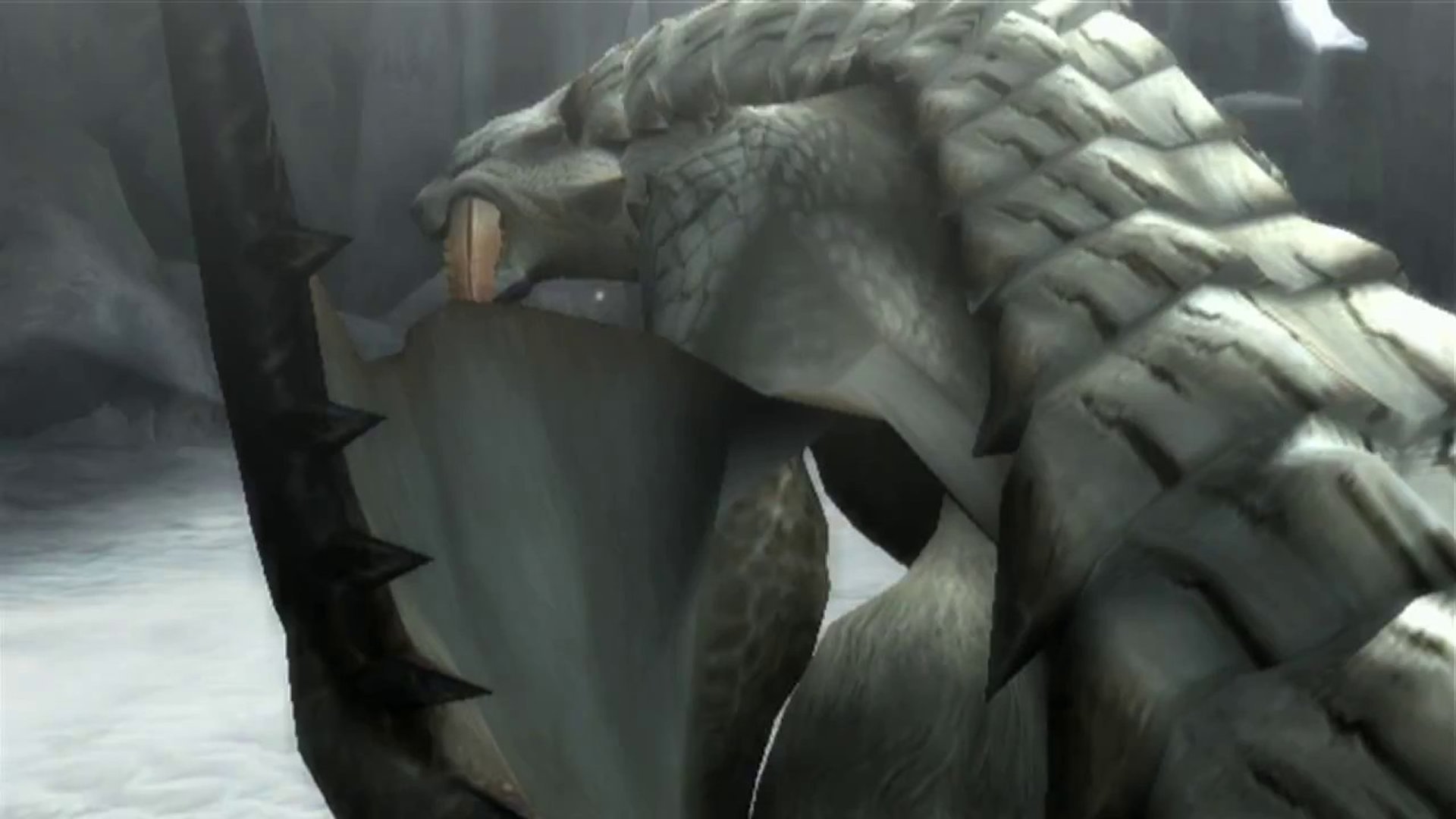 Monster Hunter Tri - Barioth