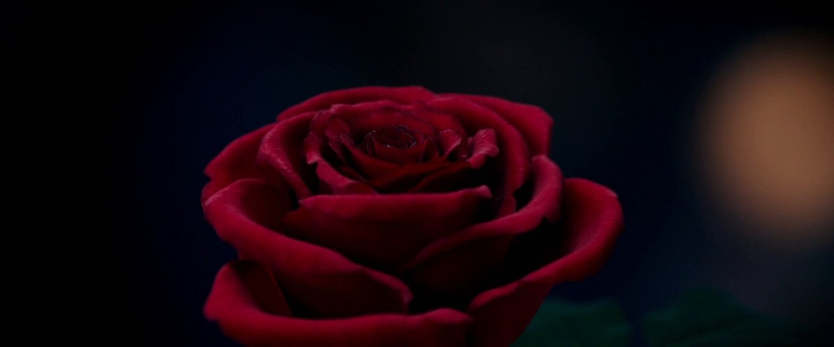 Die Schöne & das Biest - Trailer 1 Englisch