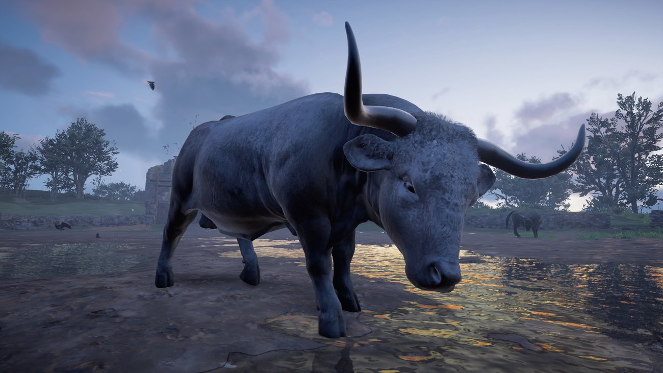 Assassin's Creed Valhalla: Alphatier "Aelfreds Schlachtschwein" - Fundort und Kampf