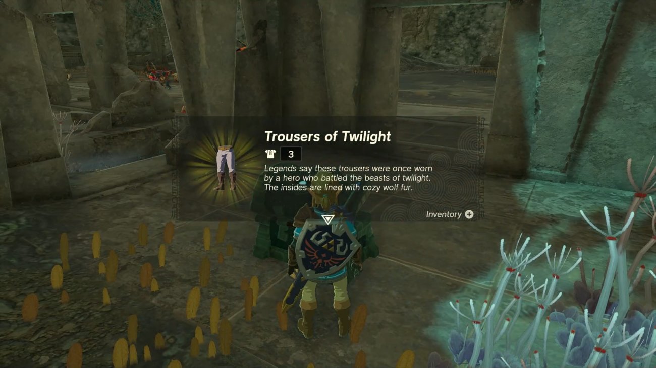 Zelda Tears of the Kingdom: Schattenhose finden