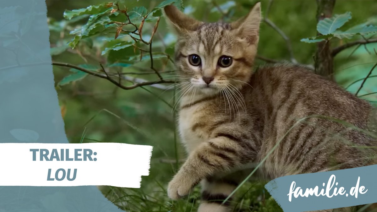Lou - Abenteuer auf Samtpfoten - Trailer Deutsch Lou - Abenteuer auf Samtpfoten - Trailer Deutsch