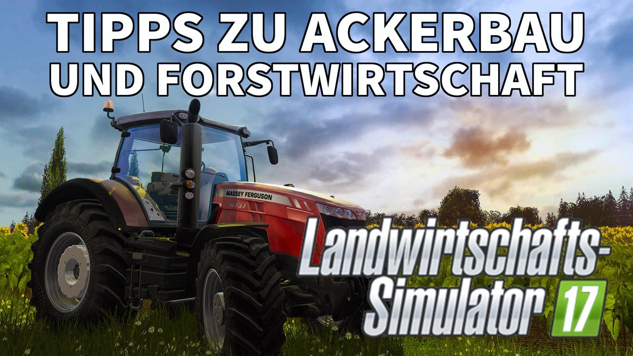 Landwirtschafts-Simulator 17 - Tipps zu Ackerbau und Forstwirtschaft