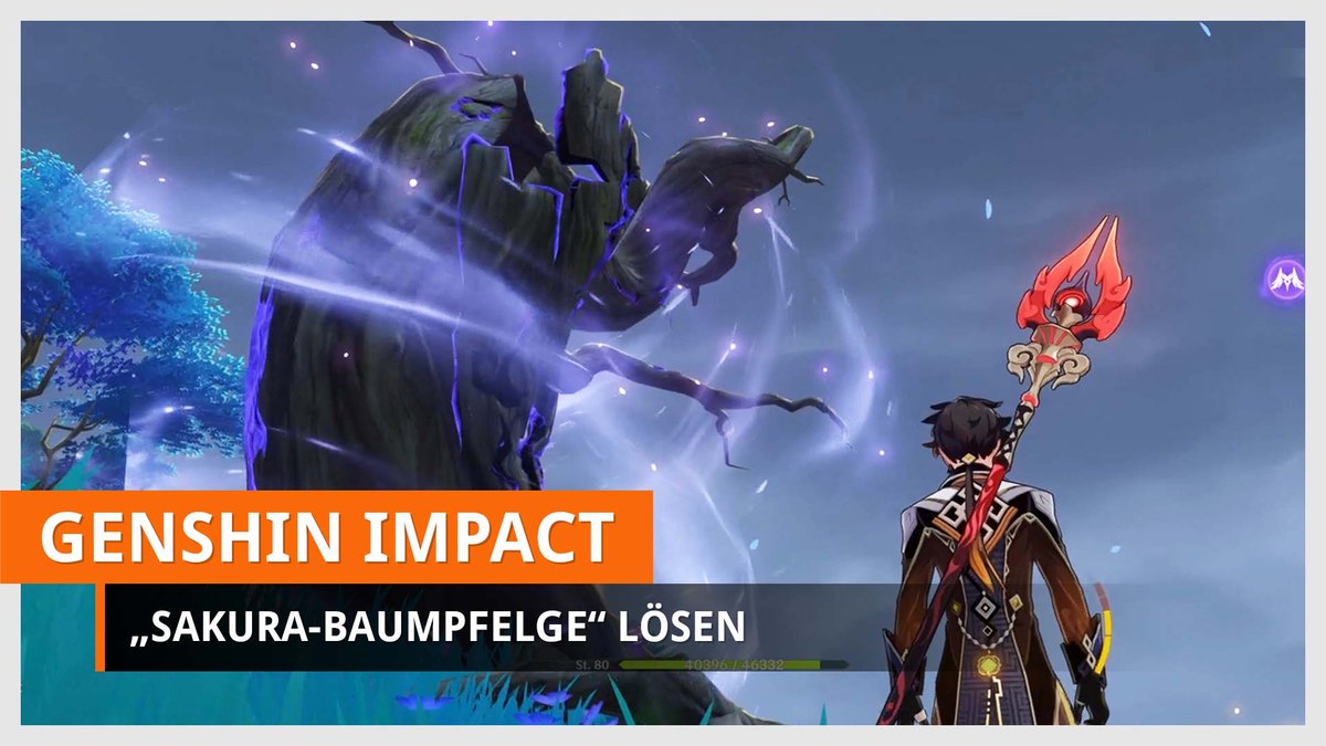 Weltauftrag: Sakura-Baumpflege Weltauftrag: Sakura-Baumpflege