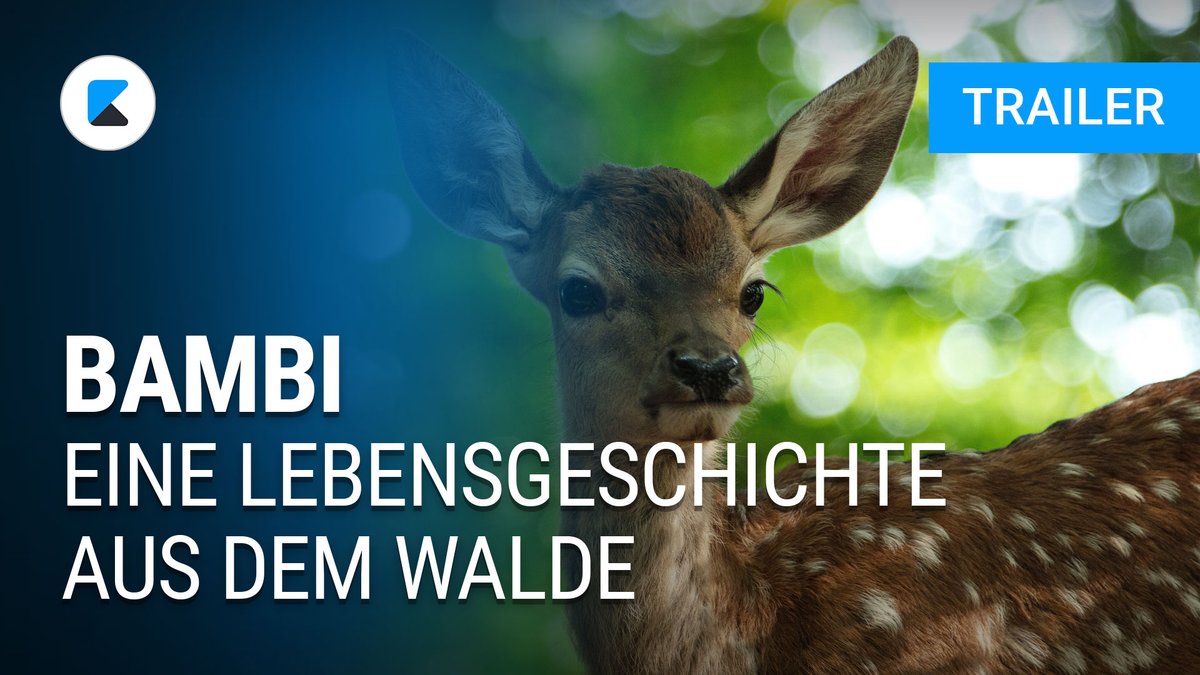 bambi eine lebensgeschichte aus dem walde kino
