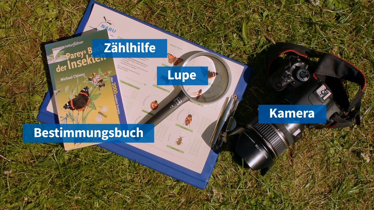 Macht mit! Deutschland zählt die Insekten Macht mit! Deutschland zählt die Insekten