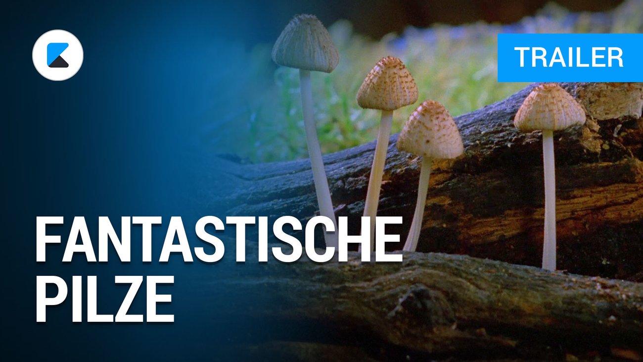 Fantastische Pilze - Trailer Deutsch