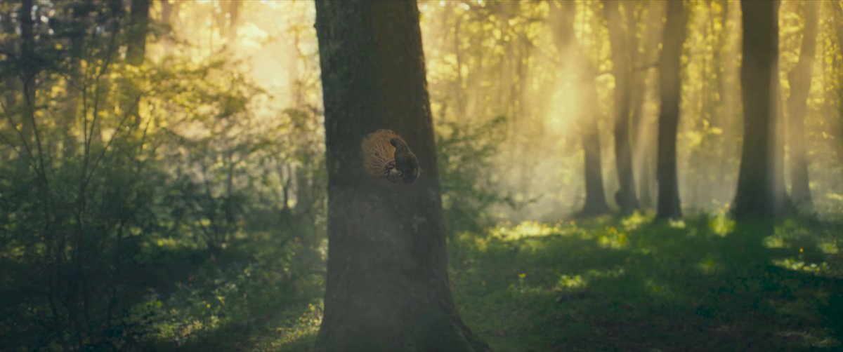 Die Legende der Weihnachtshexe - Trailer Deutsch