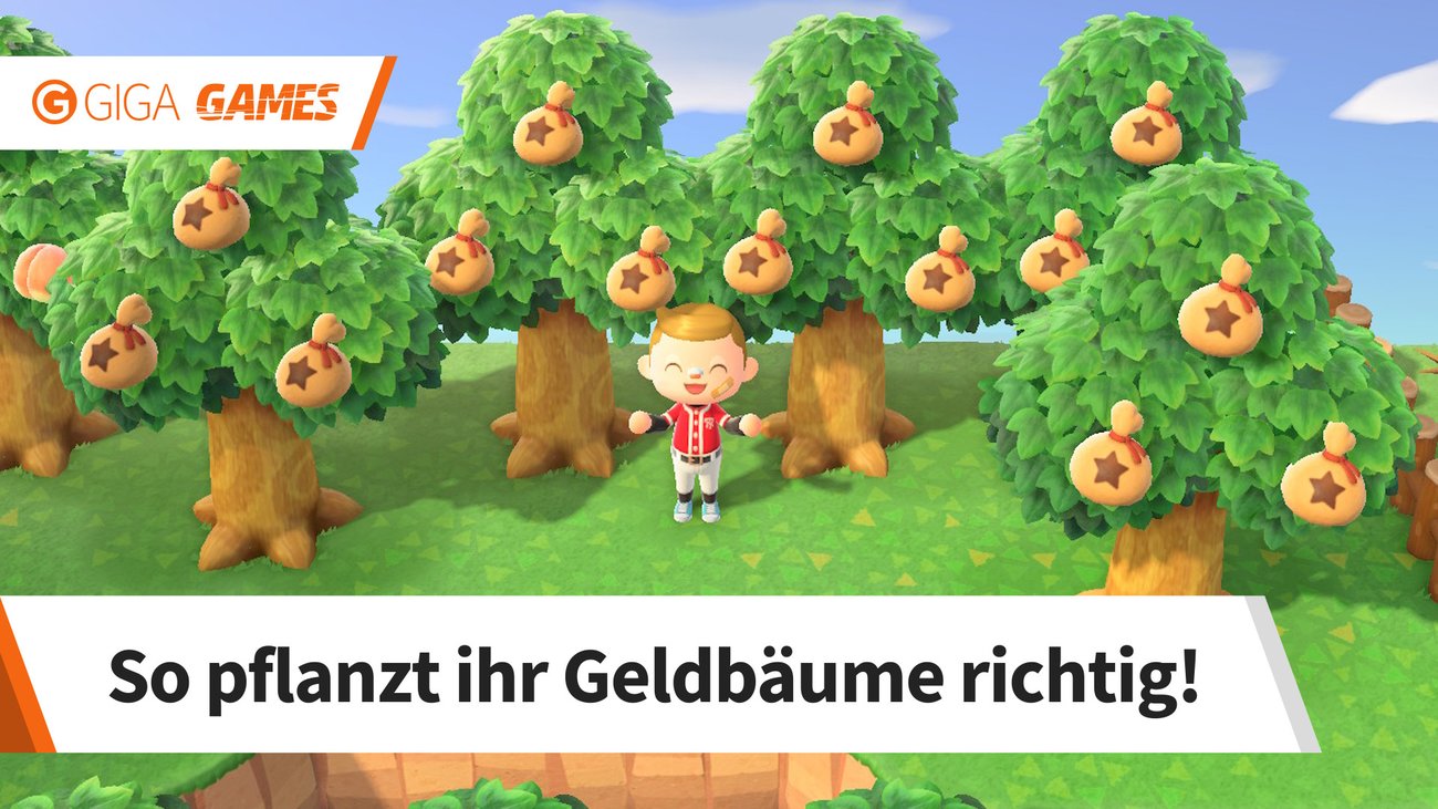 Animal Crossing - New Horizons: So pflanzt ihr Geldbäume
