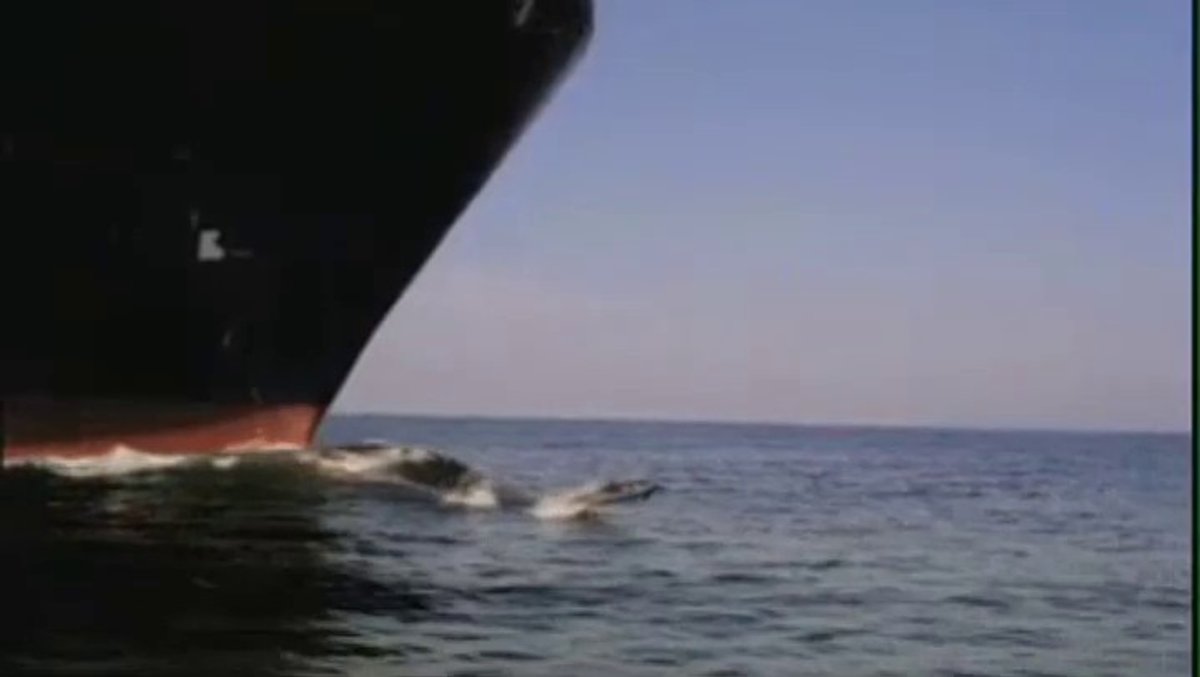 000163579.mp4 000163579.mp4