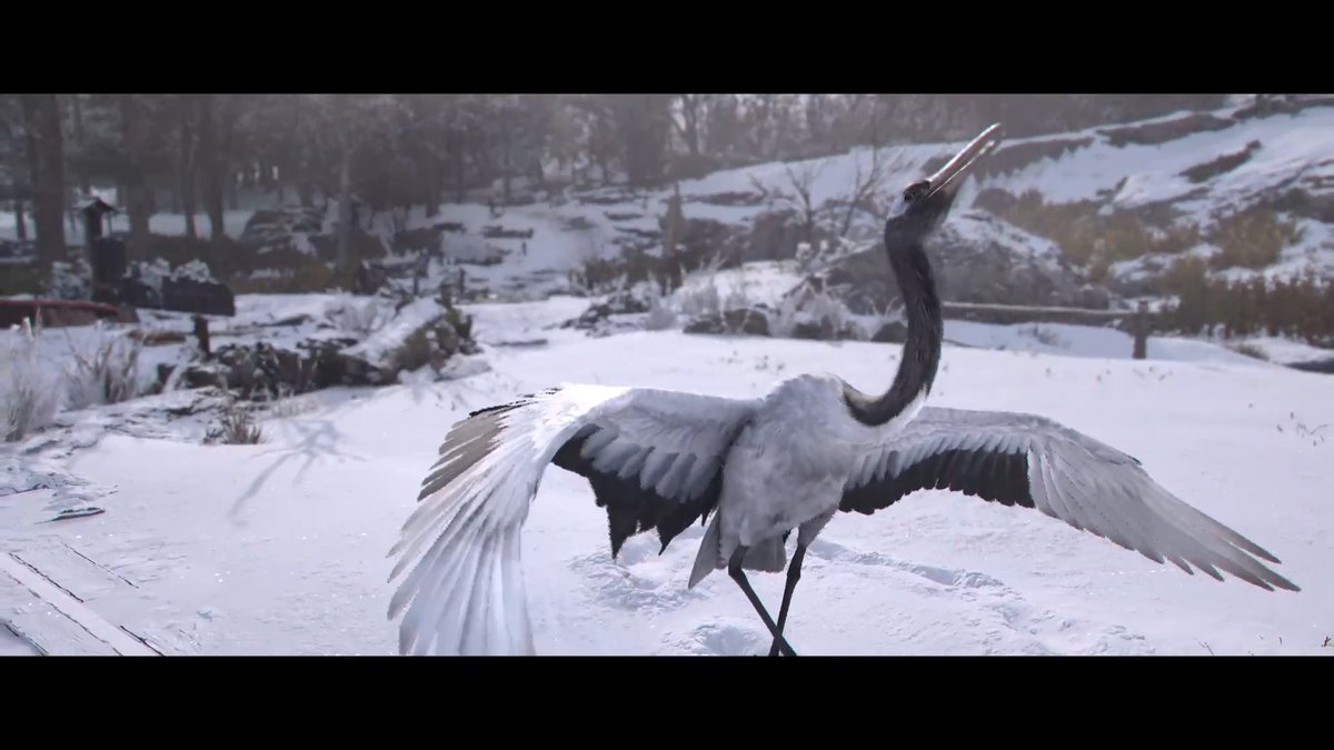 Assassin's Creed Shadows: Legendärer Rotkronenkranich - Fundort Assassin's Creed Shadows: Legendärer Rotkronenkranich - Fundort