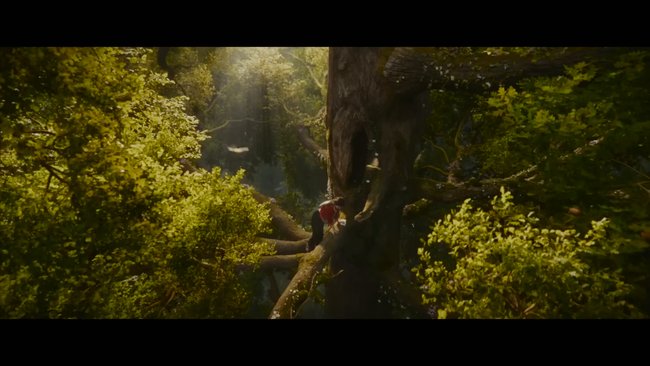 Der Wunderweltenbaum · Film 2026 · Trailer · im Kino · FSK · Besetzung
