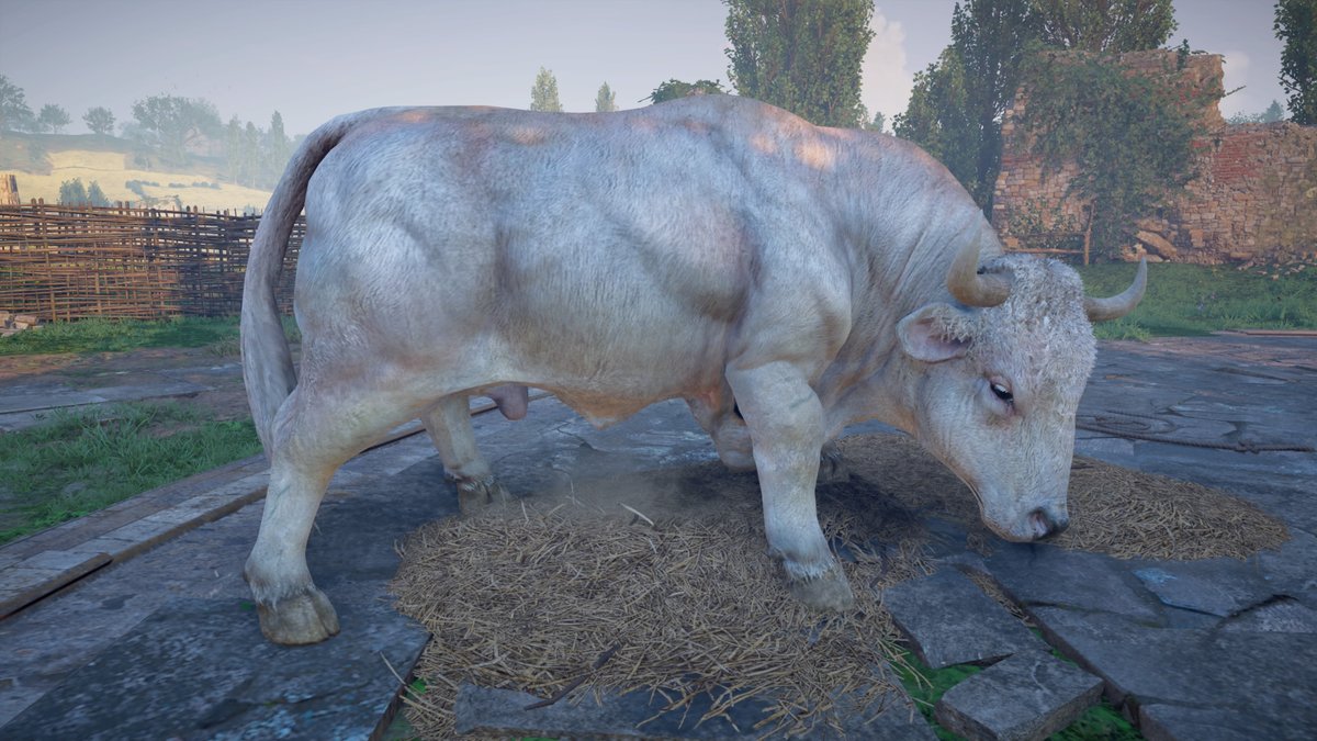 Assassin's Creed Valhalla: Alphatier "Geister-Auerochse" - Fundort und Kampf Assassin's Creed Valhalla: Alphatier "Geister-Auerochse" - Fundort und Kampf