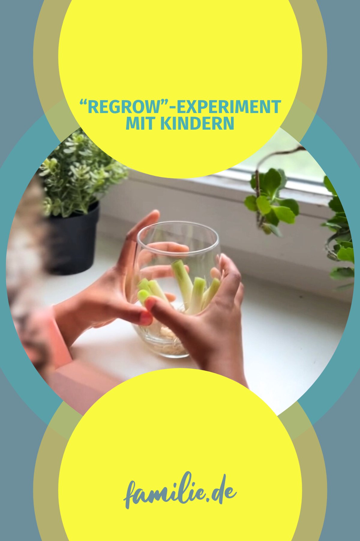"Regrow" - Experiment mit Kindern