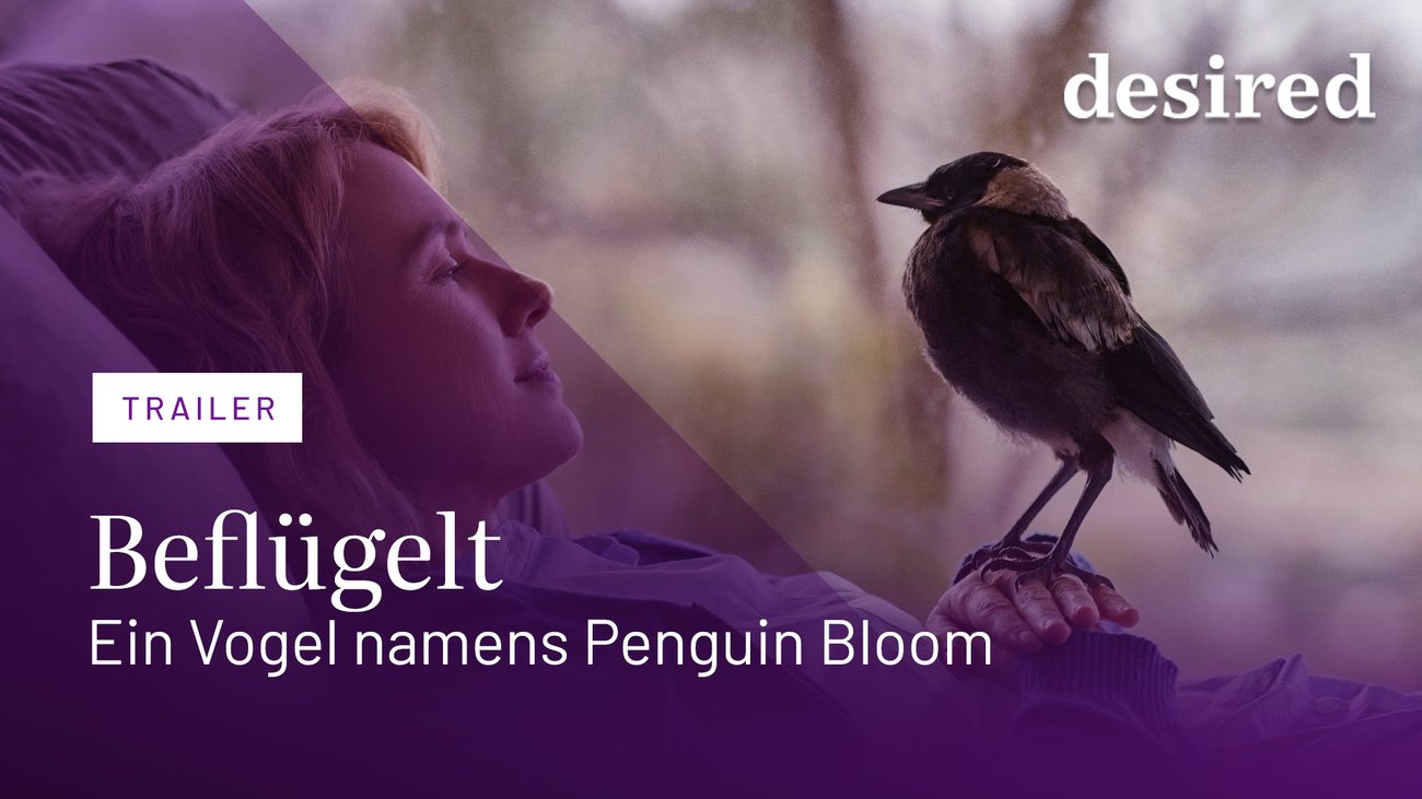 Beflügelt - Ein Vogel namens Penguin Bloom