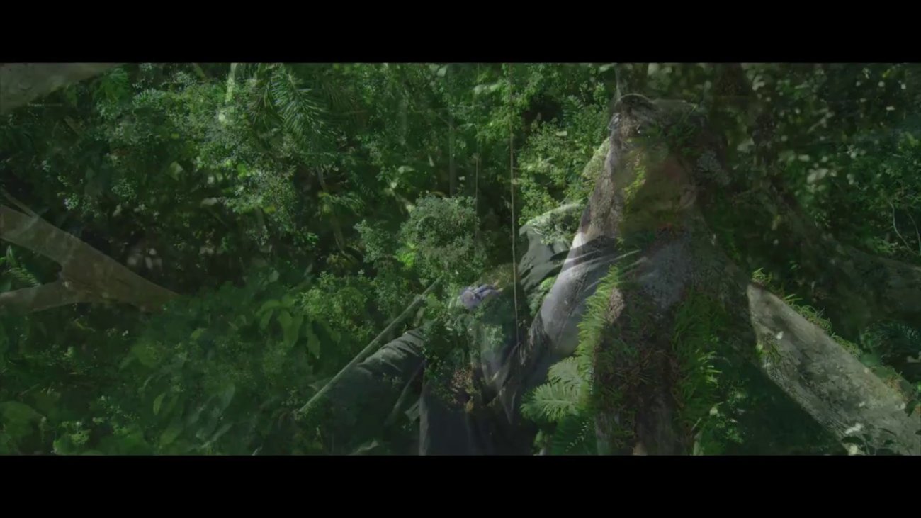 Das Geheimnis Der Bäume · Film 2014 · Trailer · Kritik