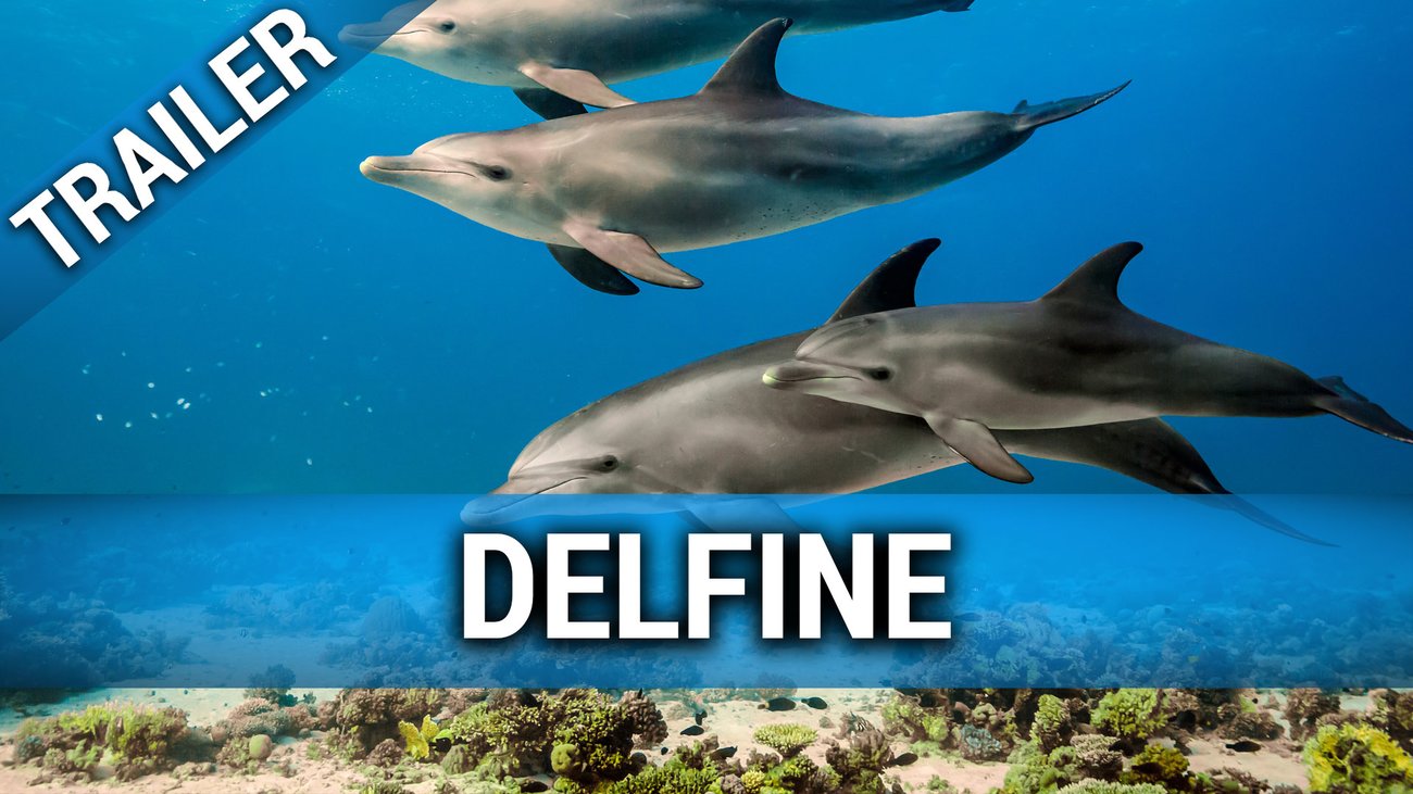 Delfine - Trailer Englisch