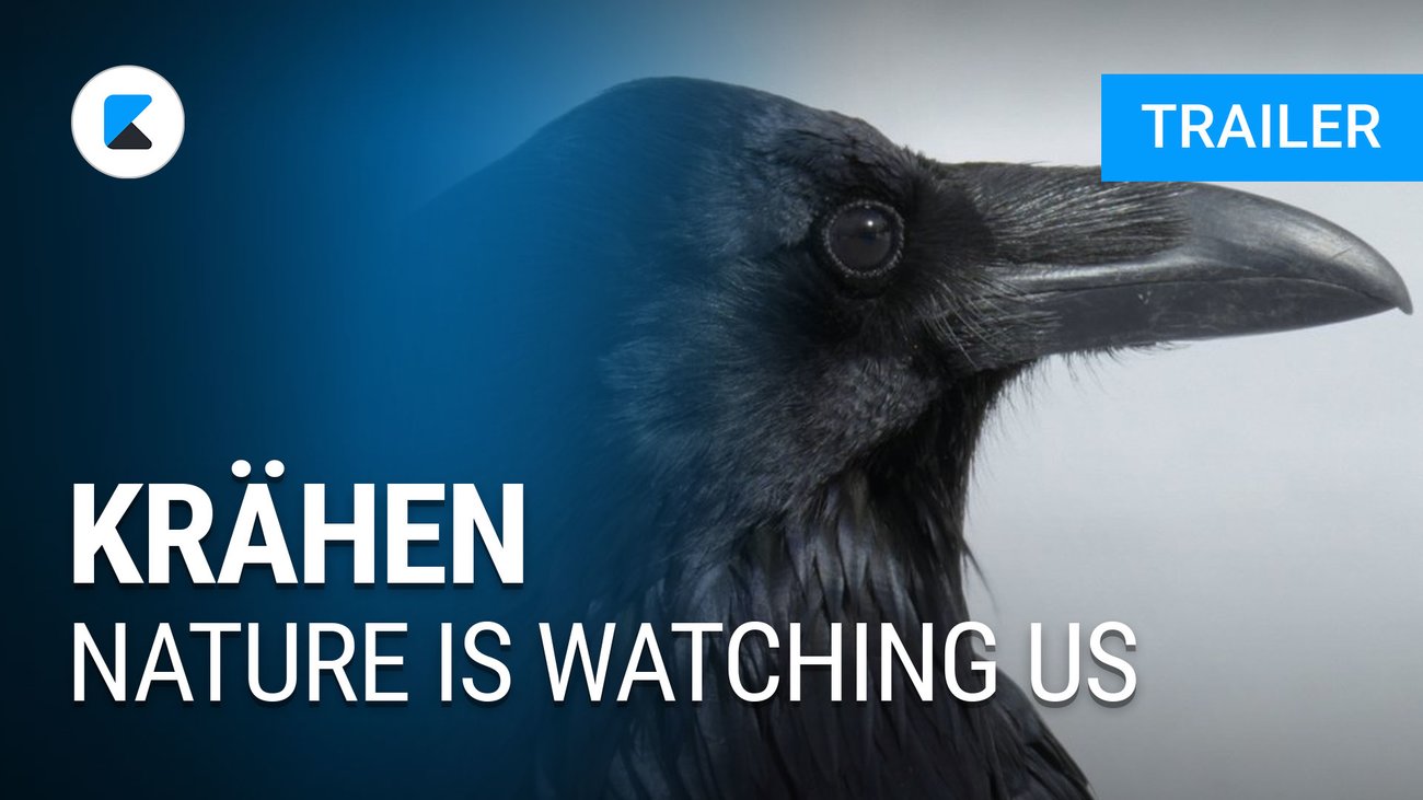 Krähen - Nature is watching us - Trailer Deutsch