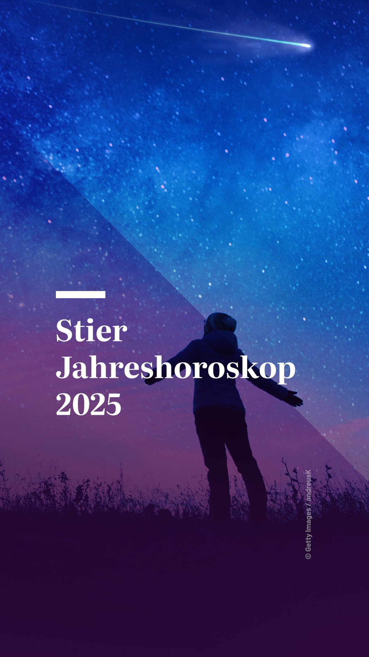 Stier Jahreshoroskop 2025