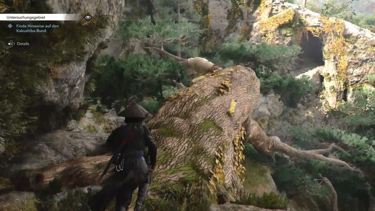 Assassin's Creed Shadows: Pfad der Erwählten in Kii (Naoes Quest)