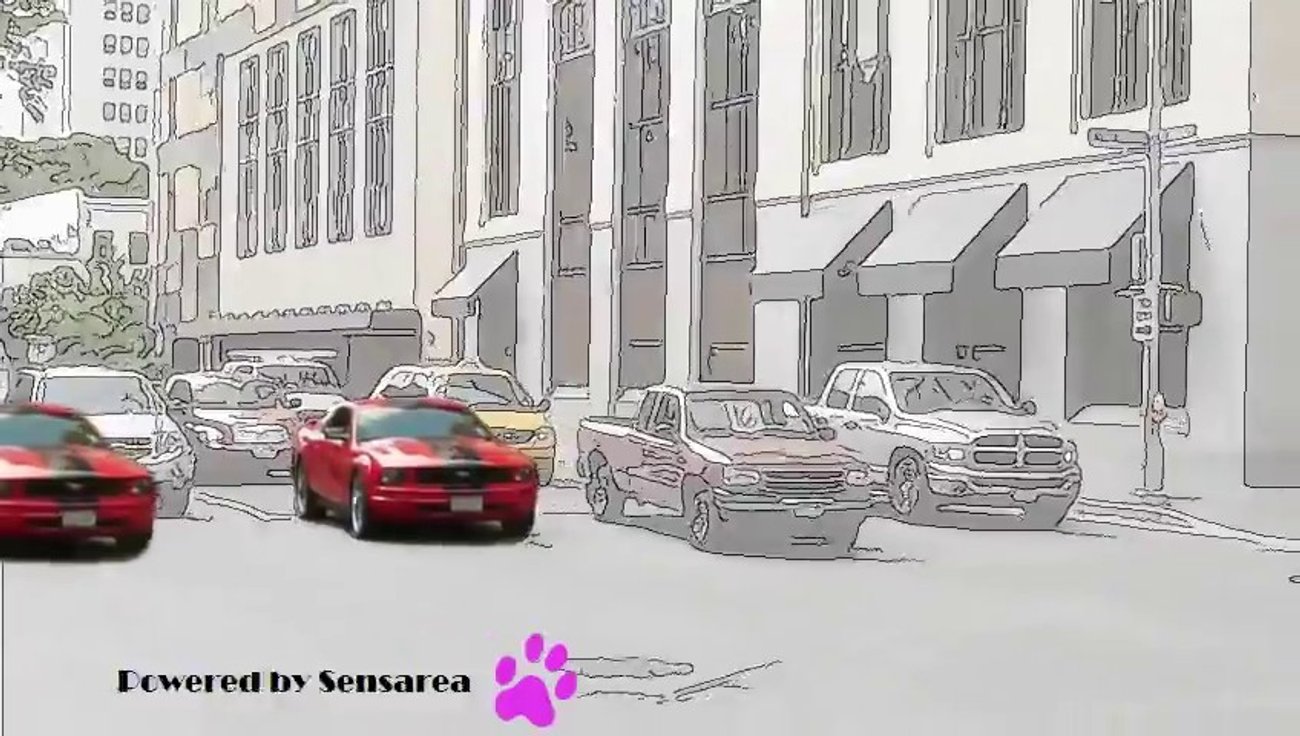 Some Examples of Effects made with Sensarea.mp4