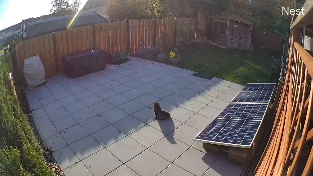 Google Nest Cam mit Akku: Bildqualität am Tag