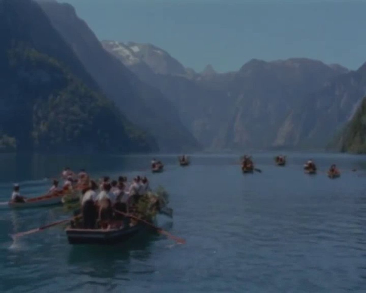 weisser-holunder-trailer-clip-120297.mp4