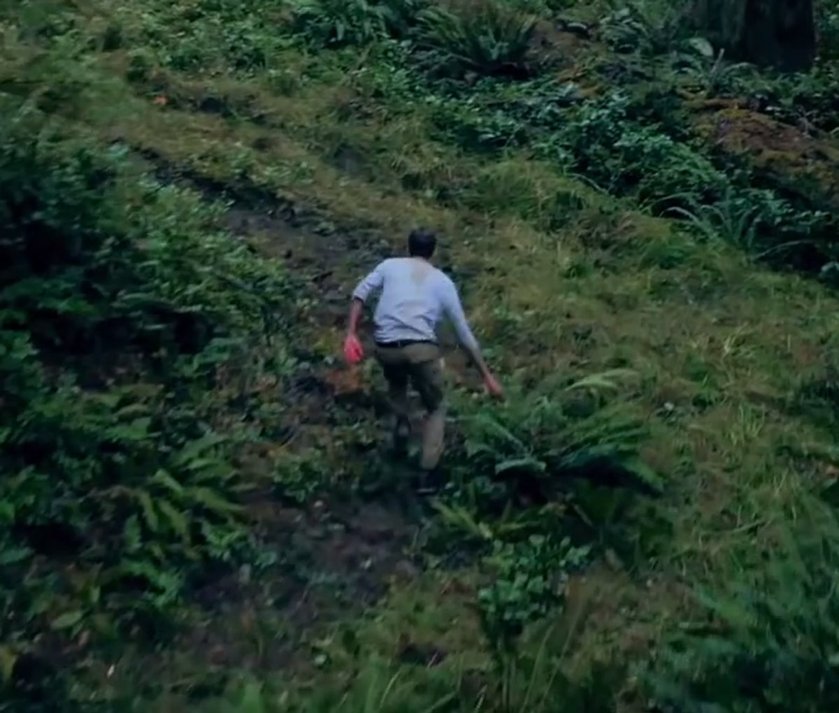 Cabin Fever - Erster Trailer Cabin Fever - Erster Trailer